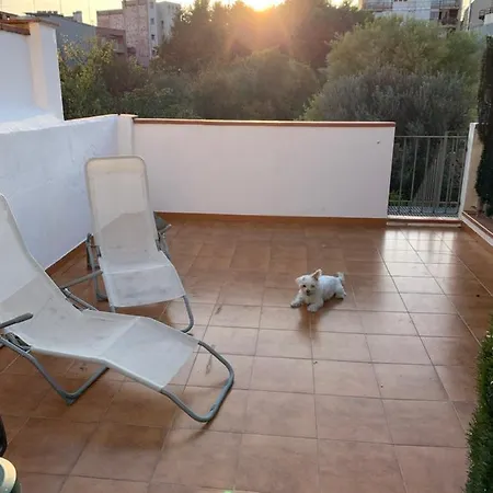Preciosa Vivienda Enorme Y Totalmente Equipada En El Centro De Figueres Appartement